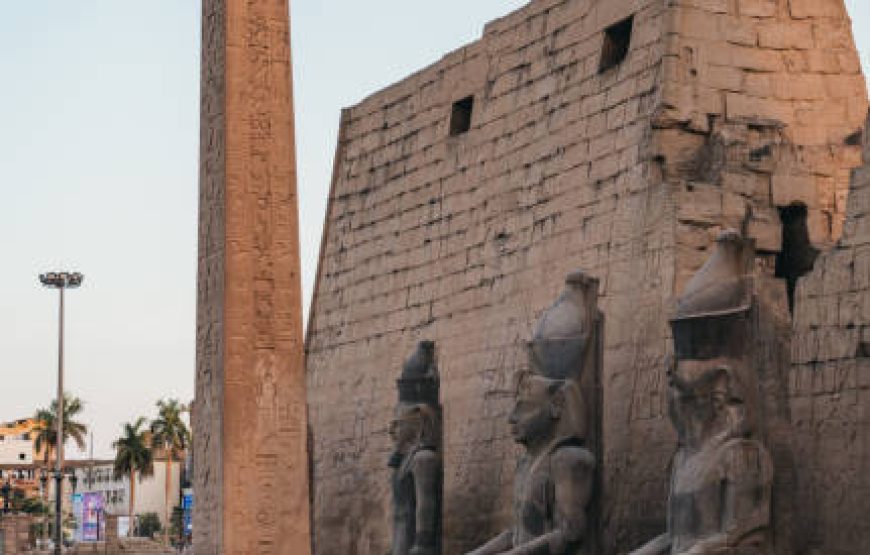 Half Day Tour To East Bank Visit Karnak And Luxor Temples